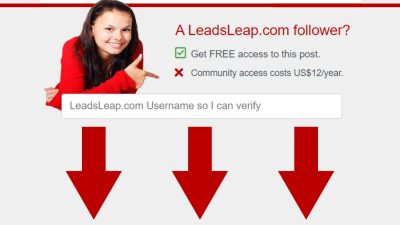 How to Make Money and Scale on LeadsLeap.com