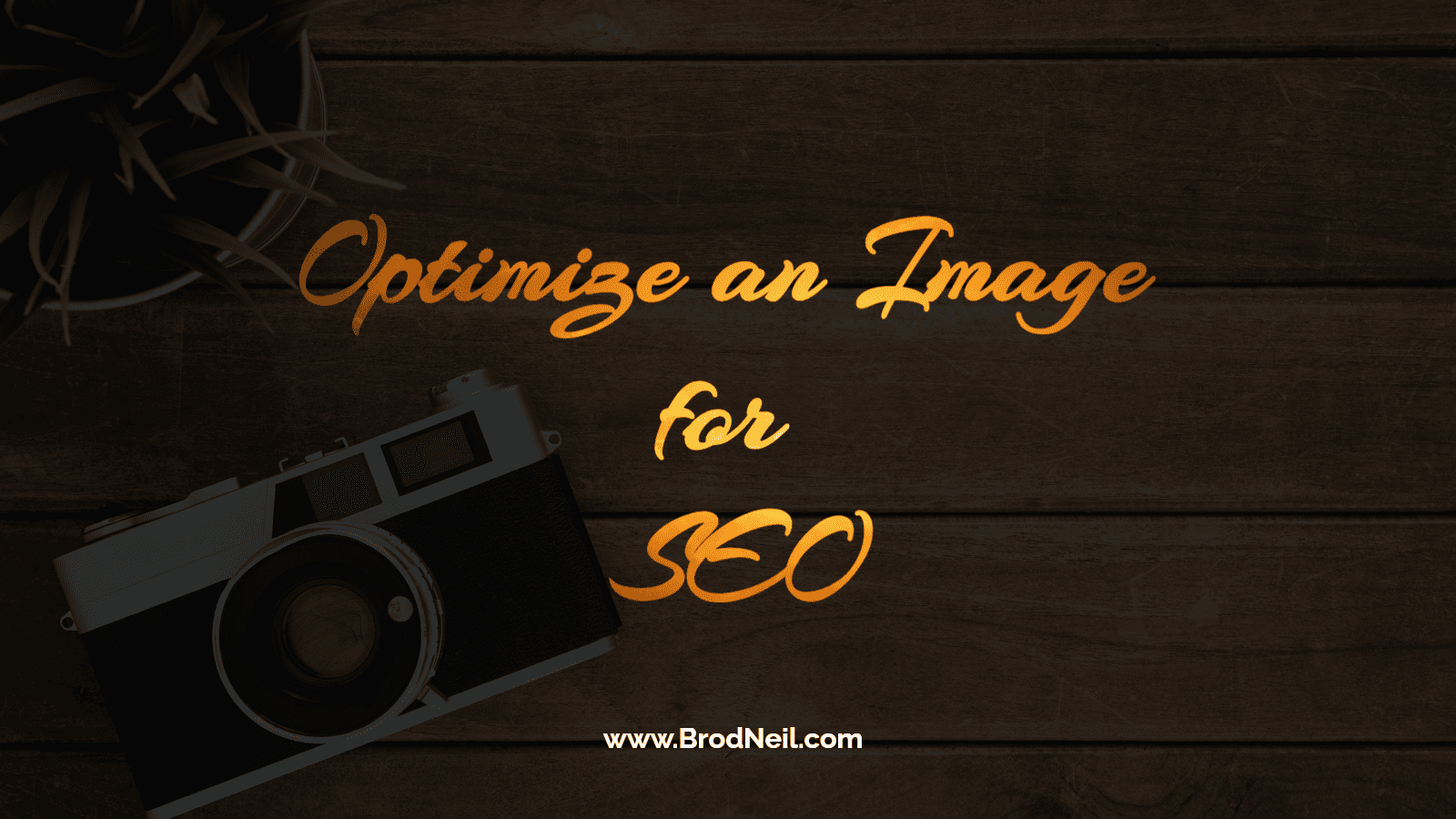 Optimize an Image for SEO (1)