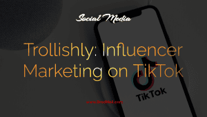 Trollishly: Influencer Marketing on TikTok