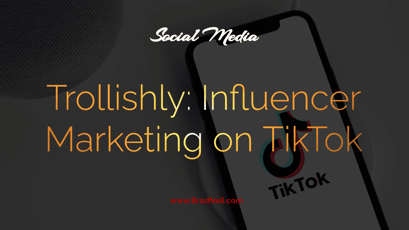 Trollishly: Influencer Marketing on TikTok