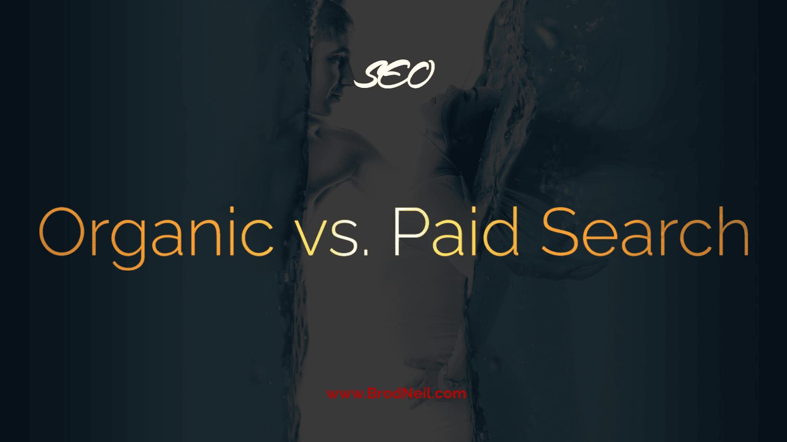 organic vs. paid search
