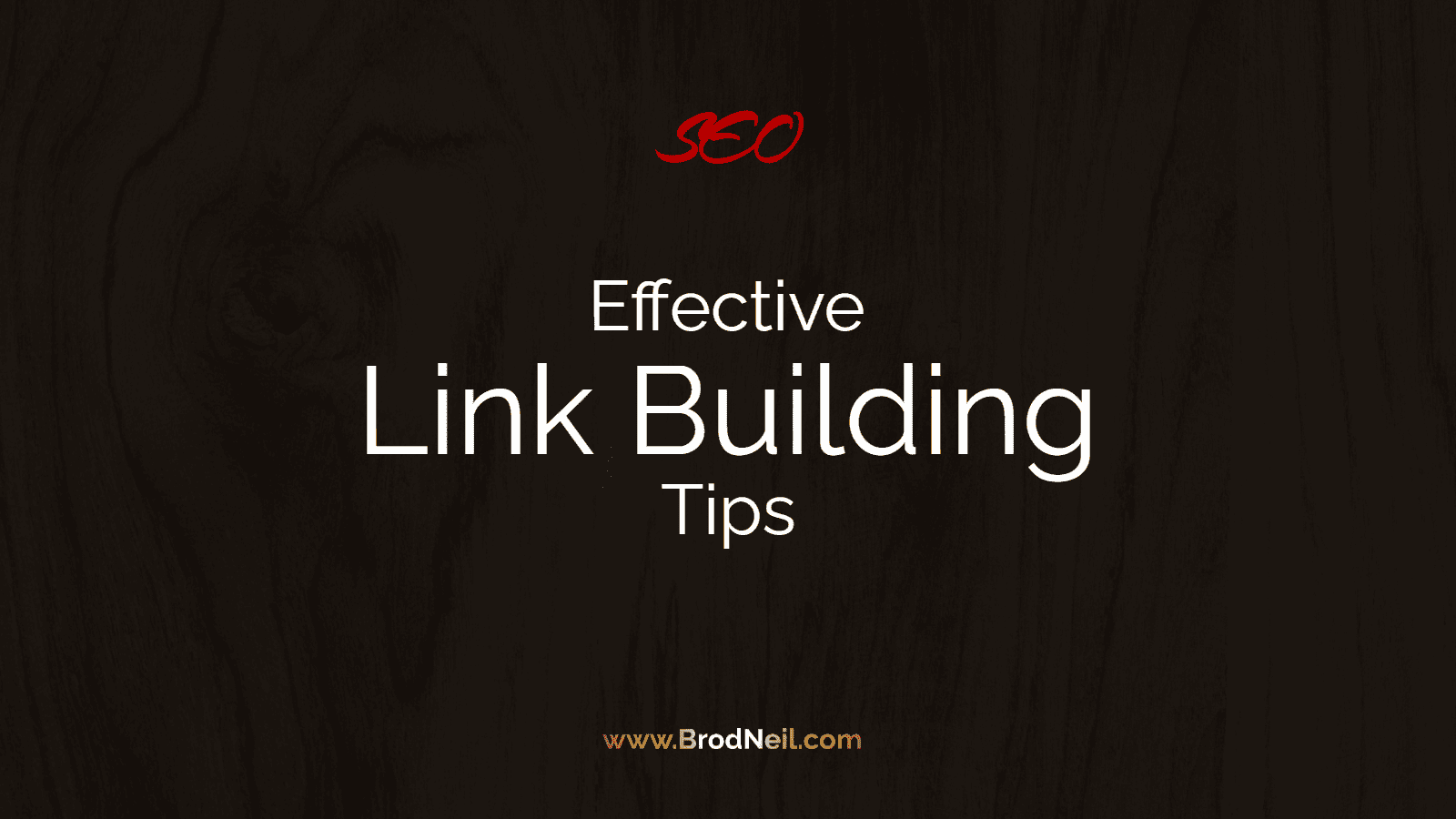Effective Link Building Tips