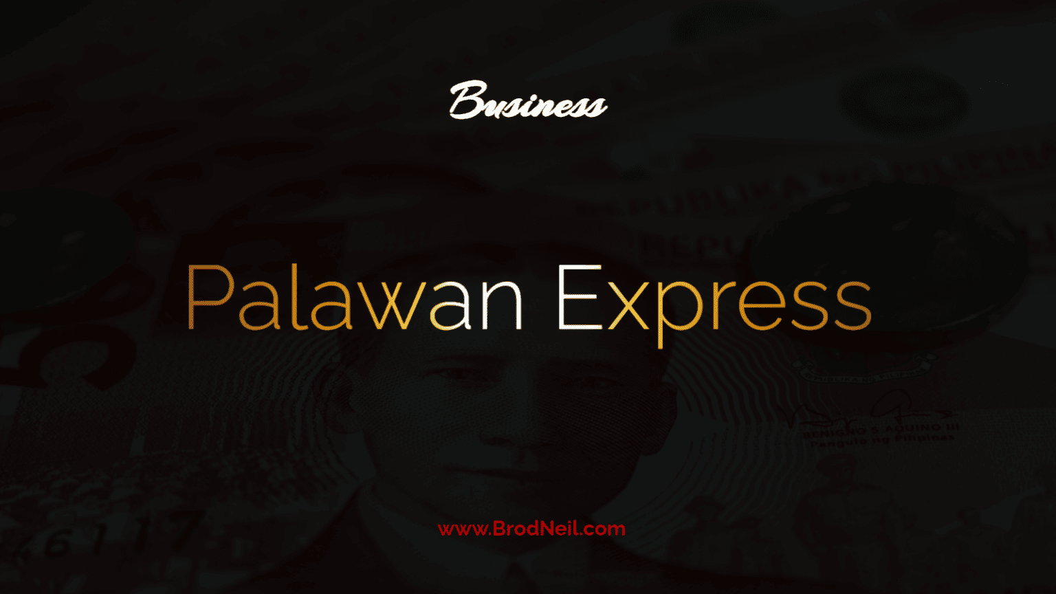 Palawan Express The Ultimate Solution for Fast, Reliable, and