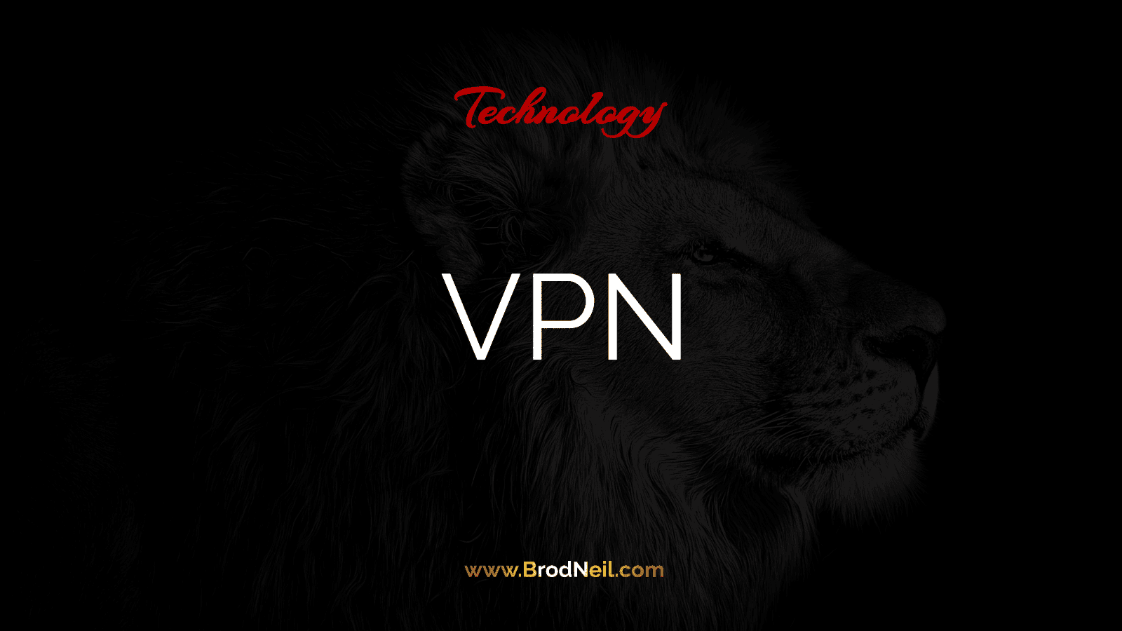 VPN