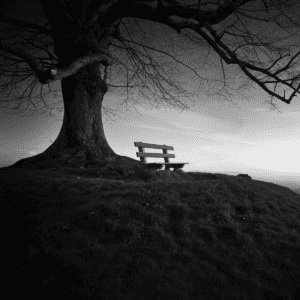 Digital Marketing Consultation 2 chair and tree - befunky